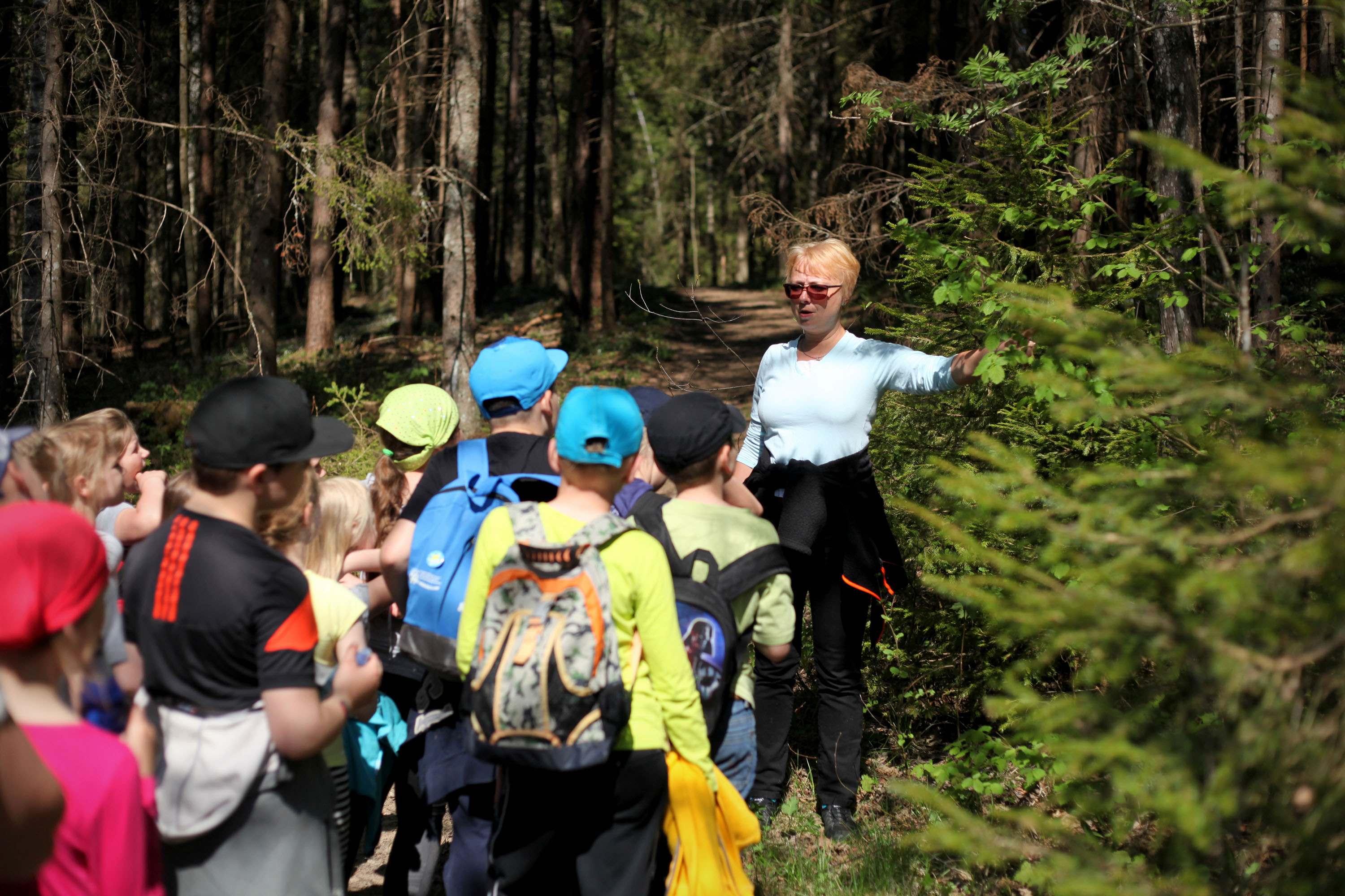 Loodusgiidiga metsas