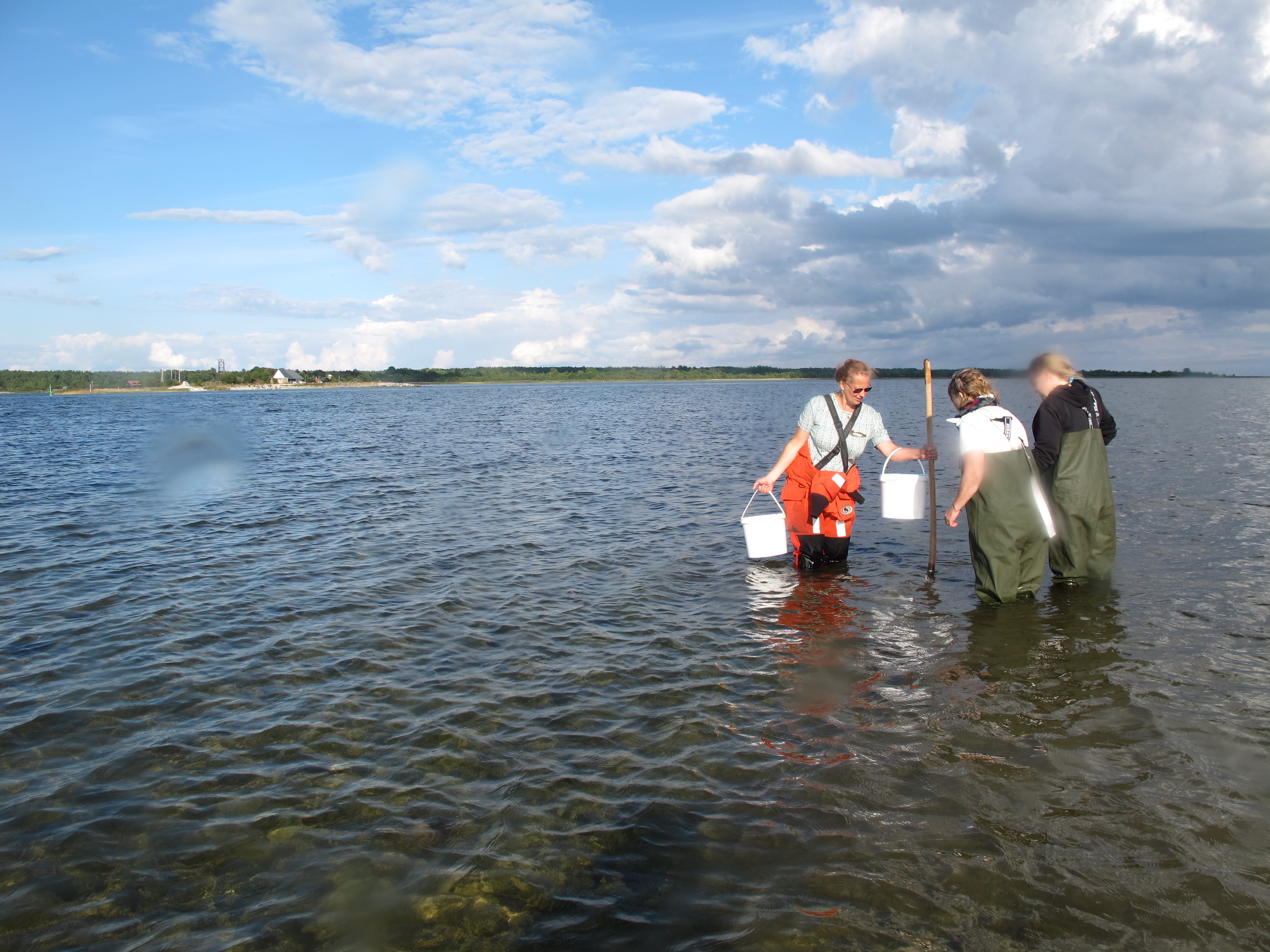 Läänemere veebiviktoriini auhinnad