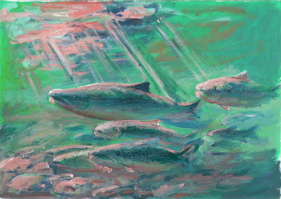 kunstitöö ujuvatest lõhedest