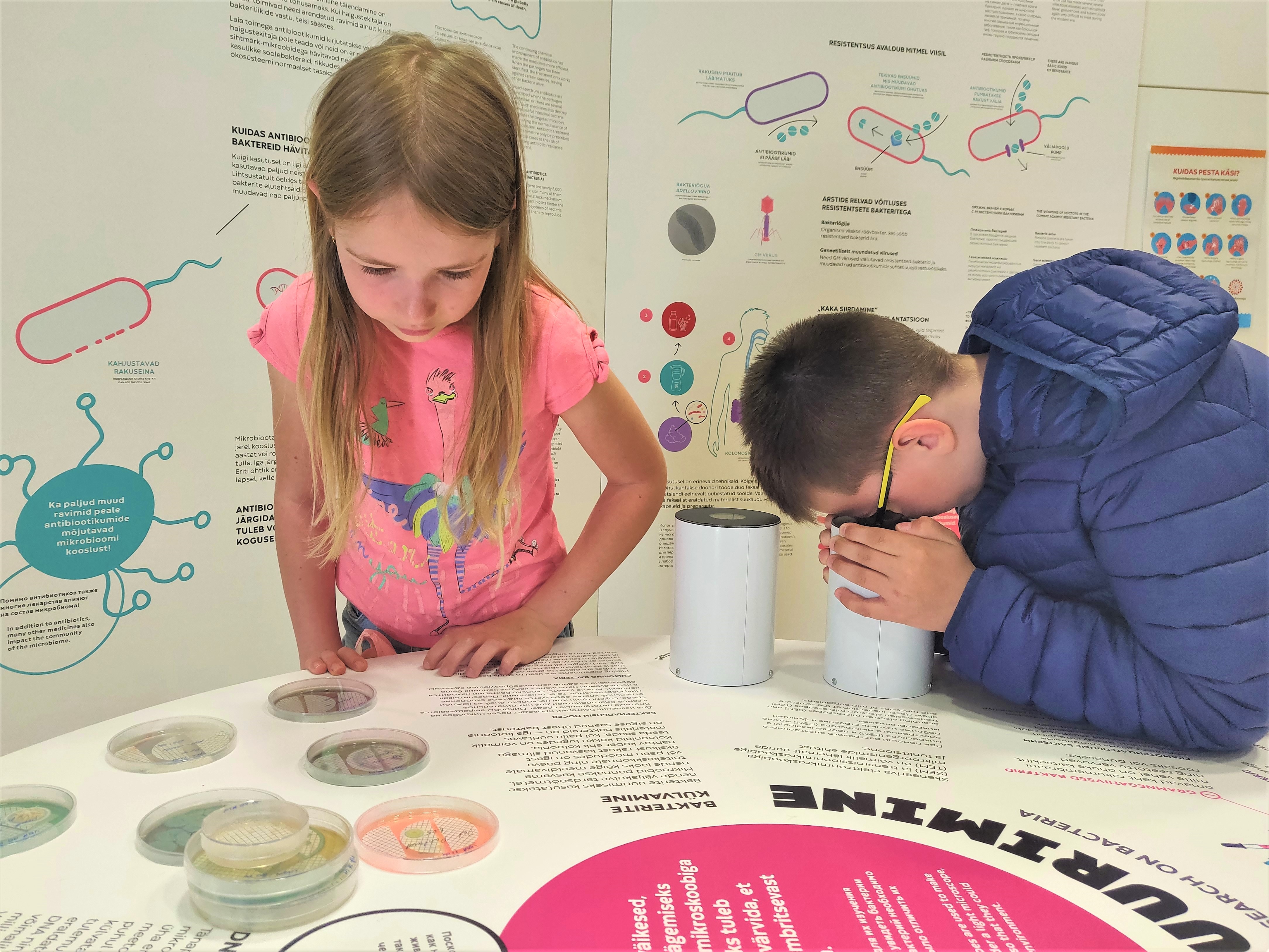 lapsed bakterinäitusel