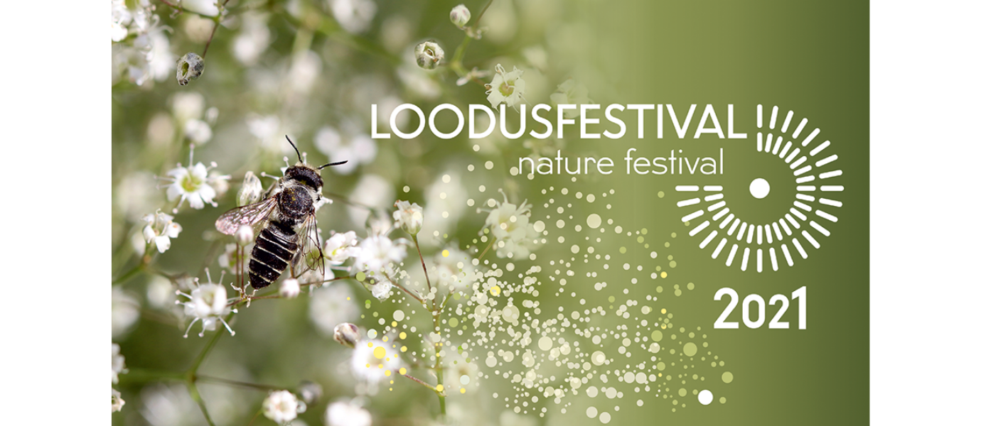 Valgete vikeste õite kohal on putukas, pildi paremas servas valge tekst rohelisel taustal