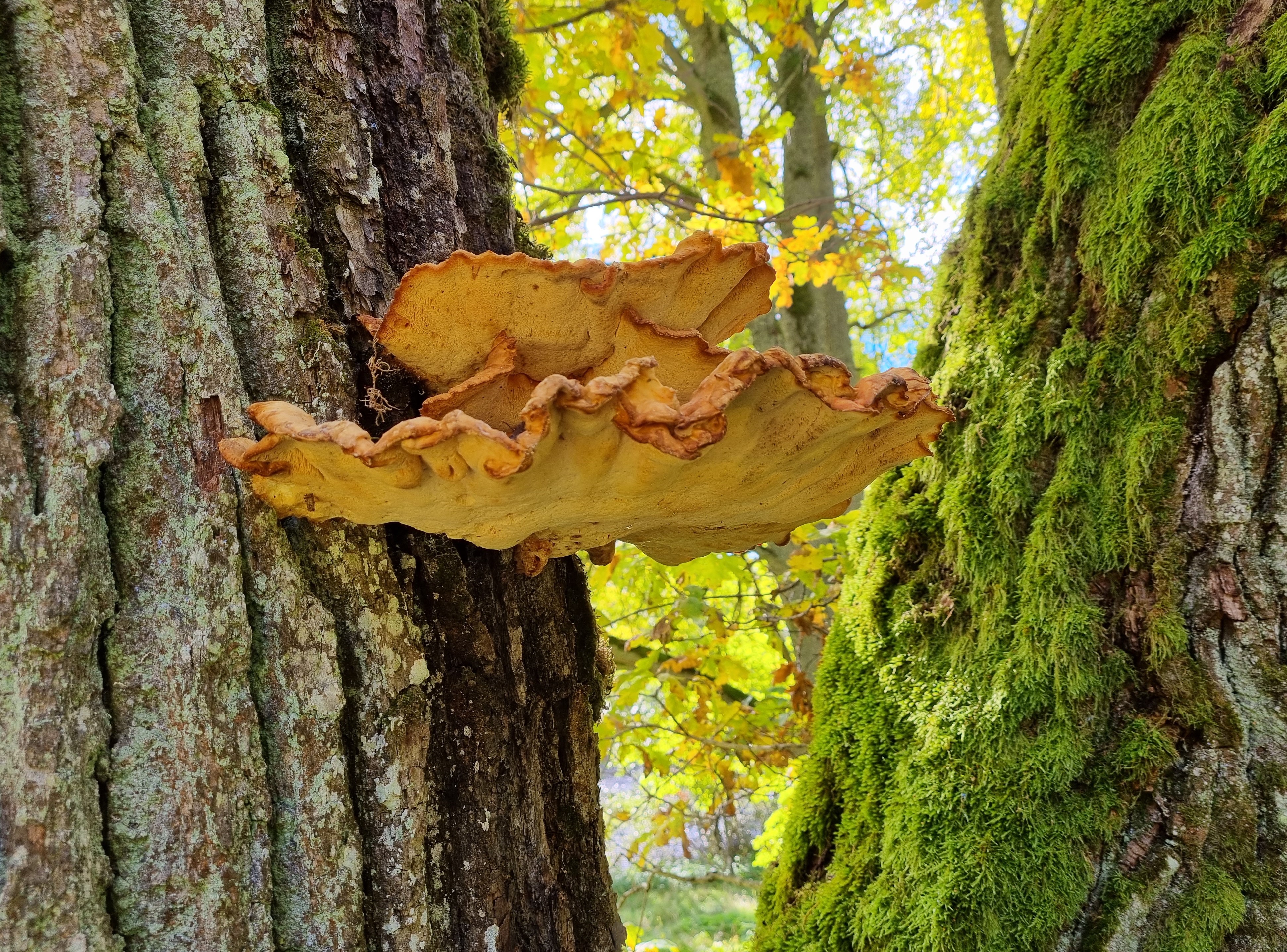 seenevaatluste päev  Foto: Kadri Põldmaa