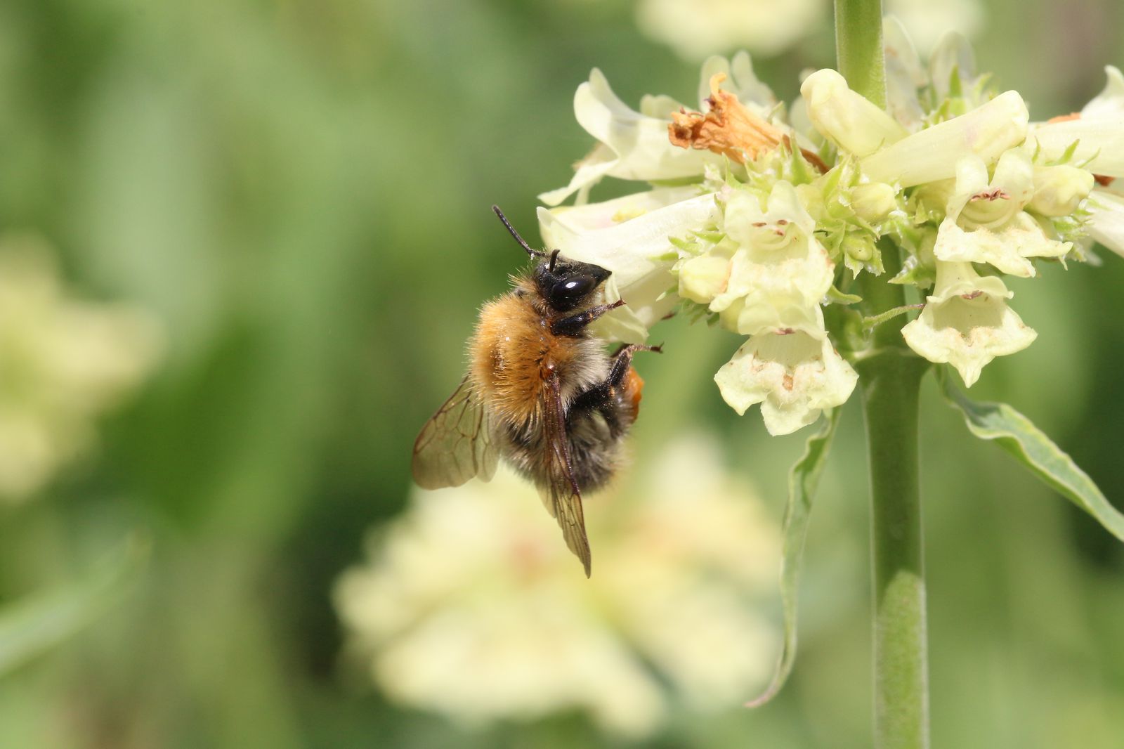 Tolmeldajad Foto Villu Soon