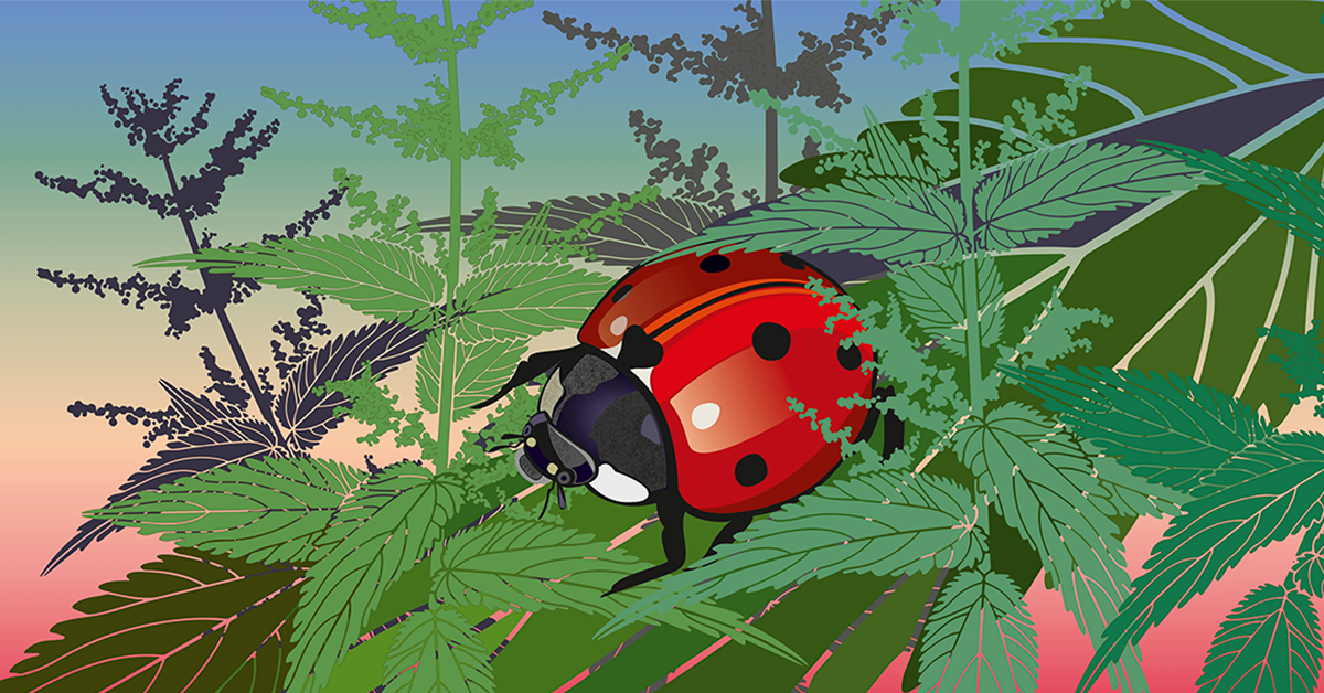 loodusvaatluste maraton