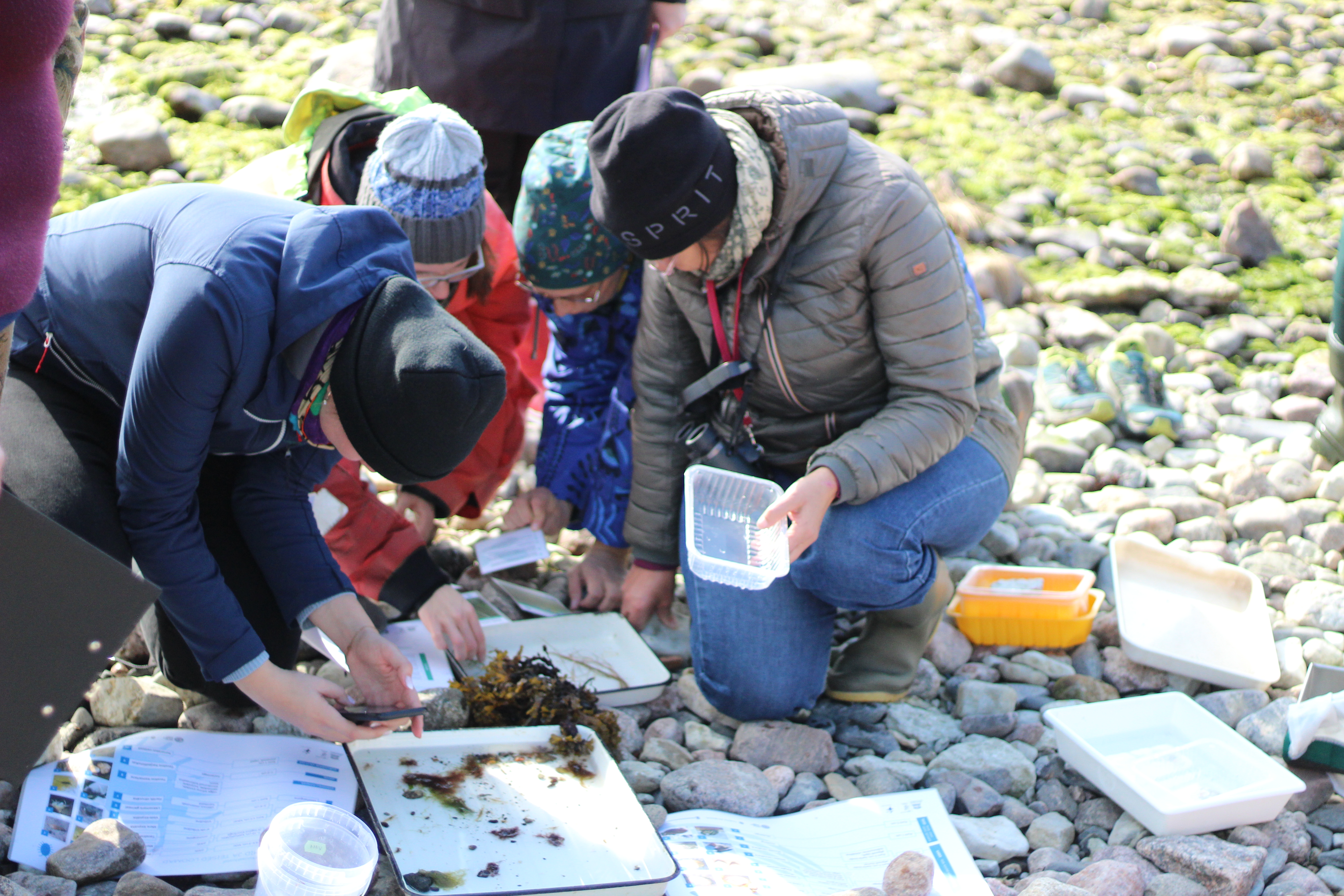 loodusvaatlused käimas