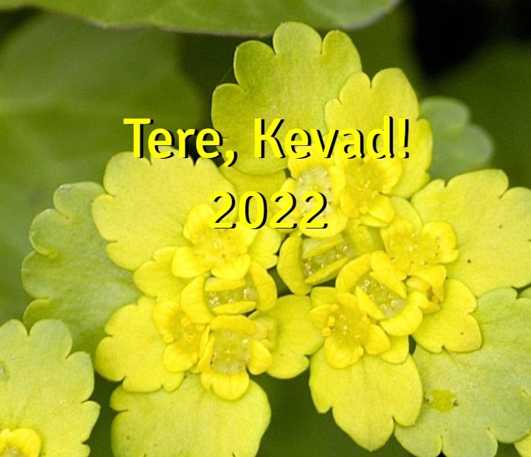 tere kevad 2022