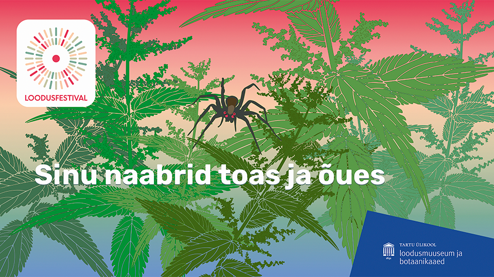 Loodusfestivali visuaal