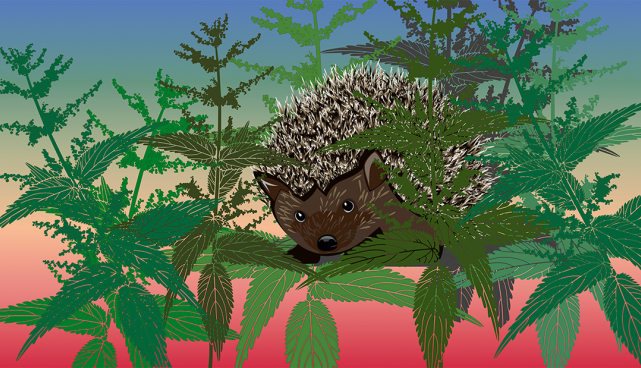 fotokonkurss Metsik linn