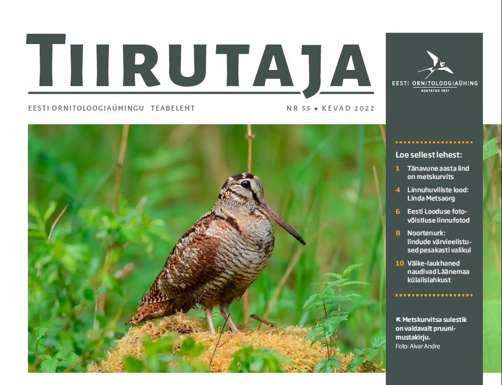 Teabelehe esikaane ülemine osa, päises on tekst Tiirutaja, selle all foto metskurvitsast.