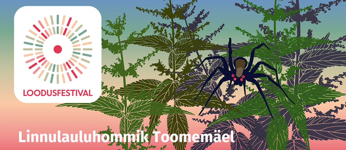 Joonistatud pildil on must ämblik nõgesetaimede peal