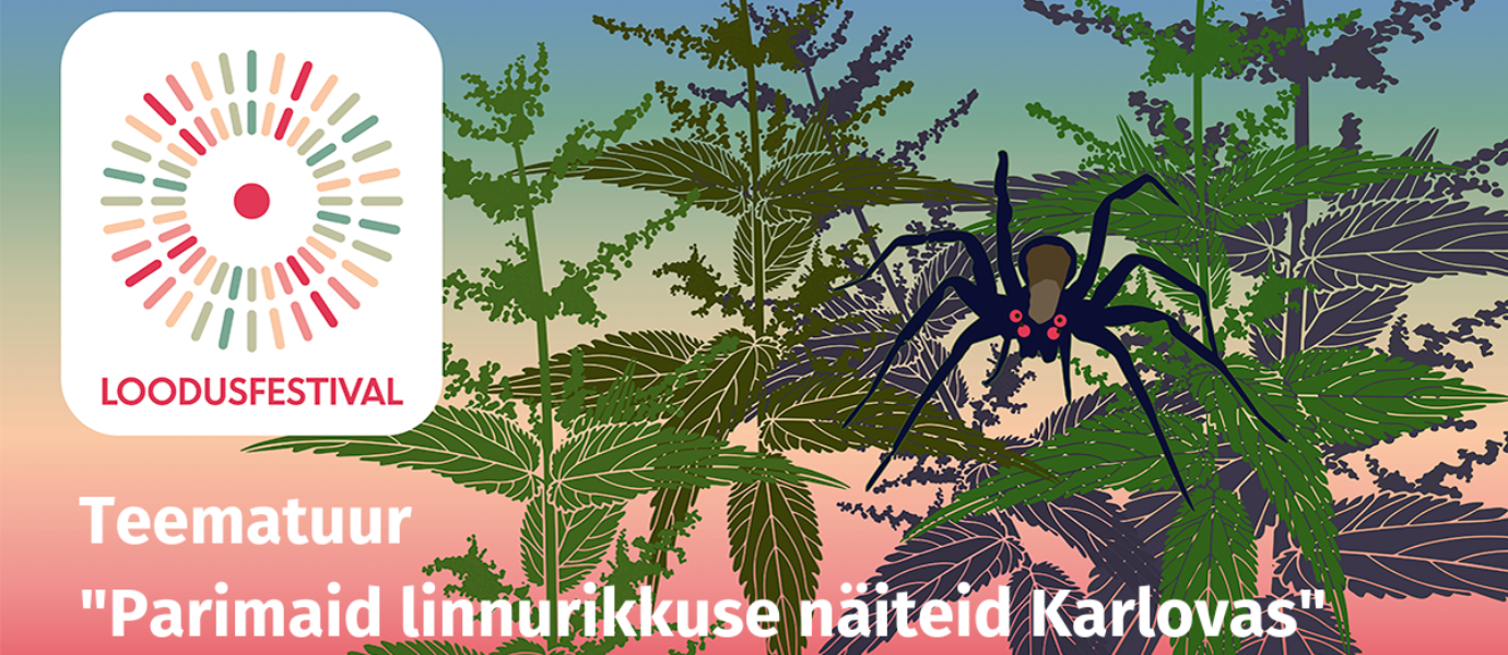 Joonistatud pildil on must ämblik nõgesetaimede peal