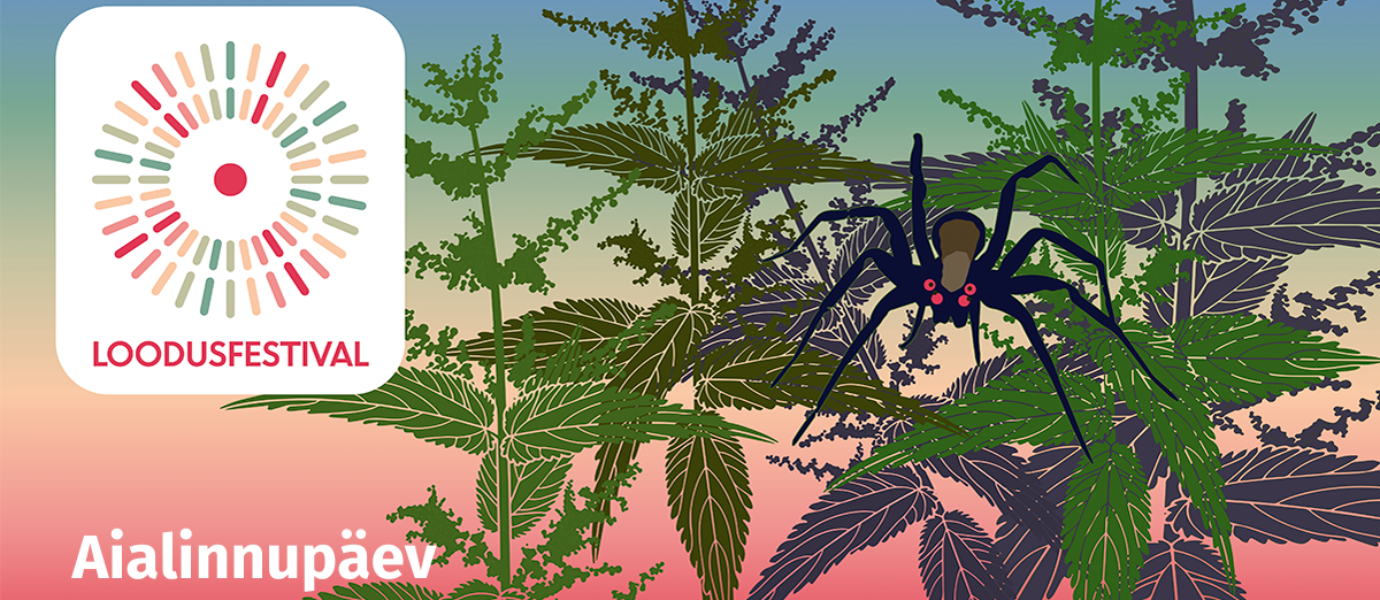 Joonistatud pildil on must ämblik nõgesetaimede peal