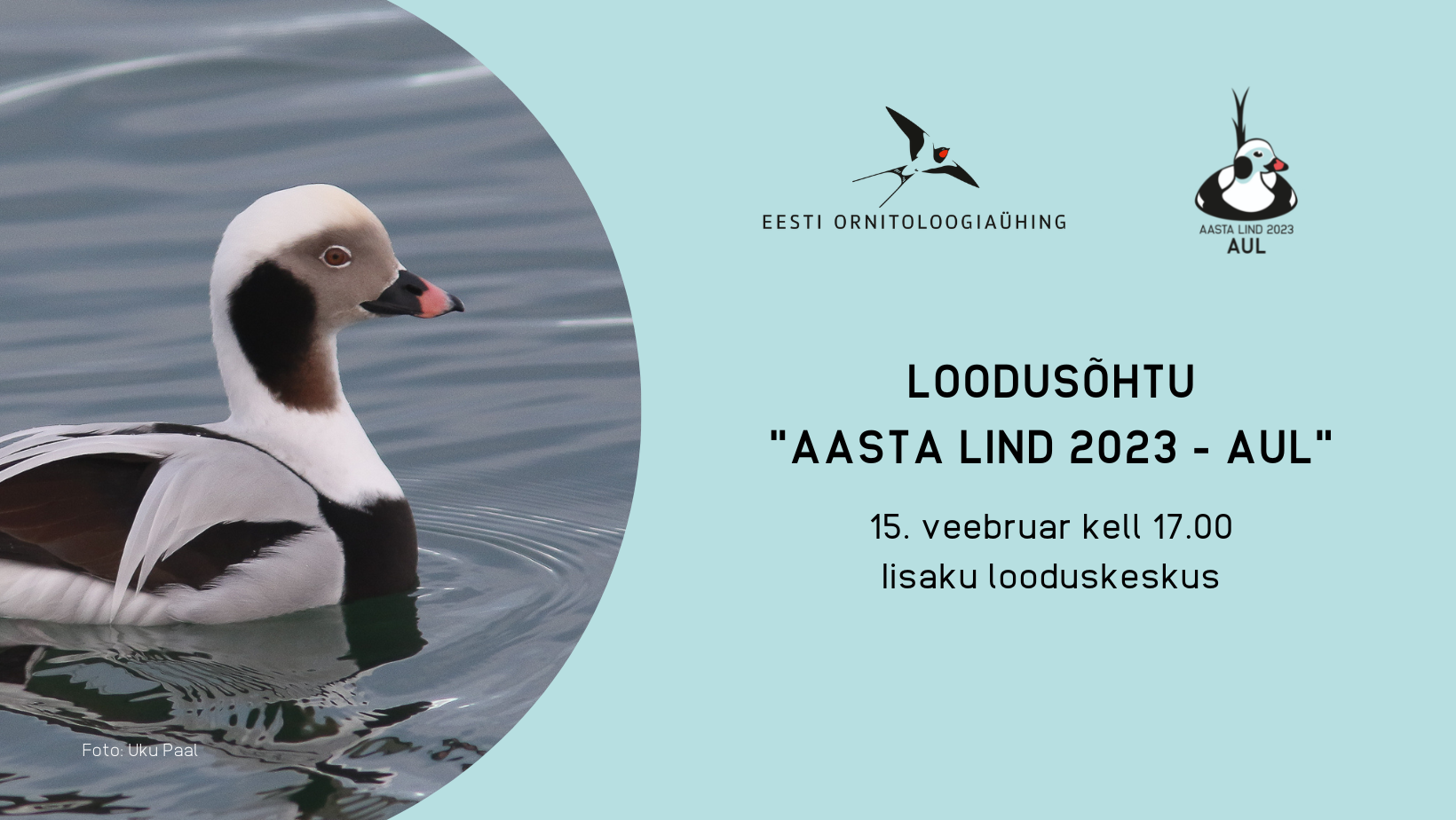 Vasakul pool on foto vee peal olevast auli isalinnust, kes vaatab paremale. Vasakul pool on sinisel taustal tekst.