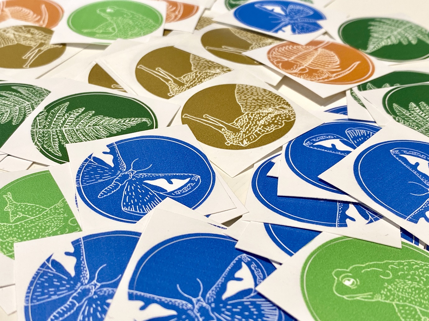 LMBA piletid Foto autor Silvia Luik.