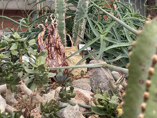 Keraamikanäitus botaanikaaias. Foto autor Silvia Luik