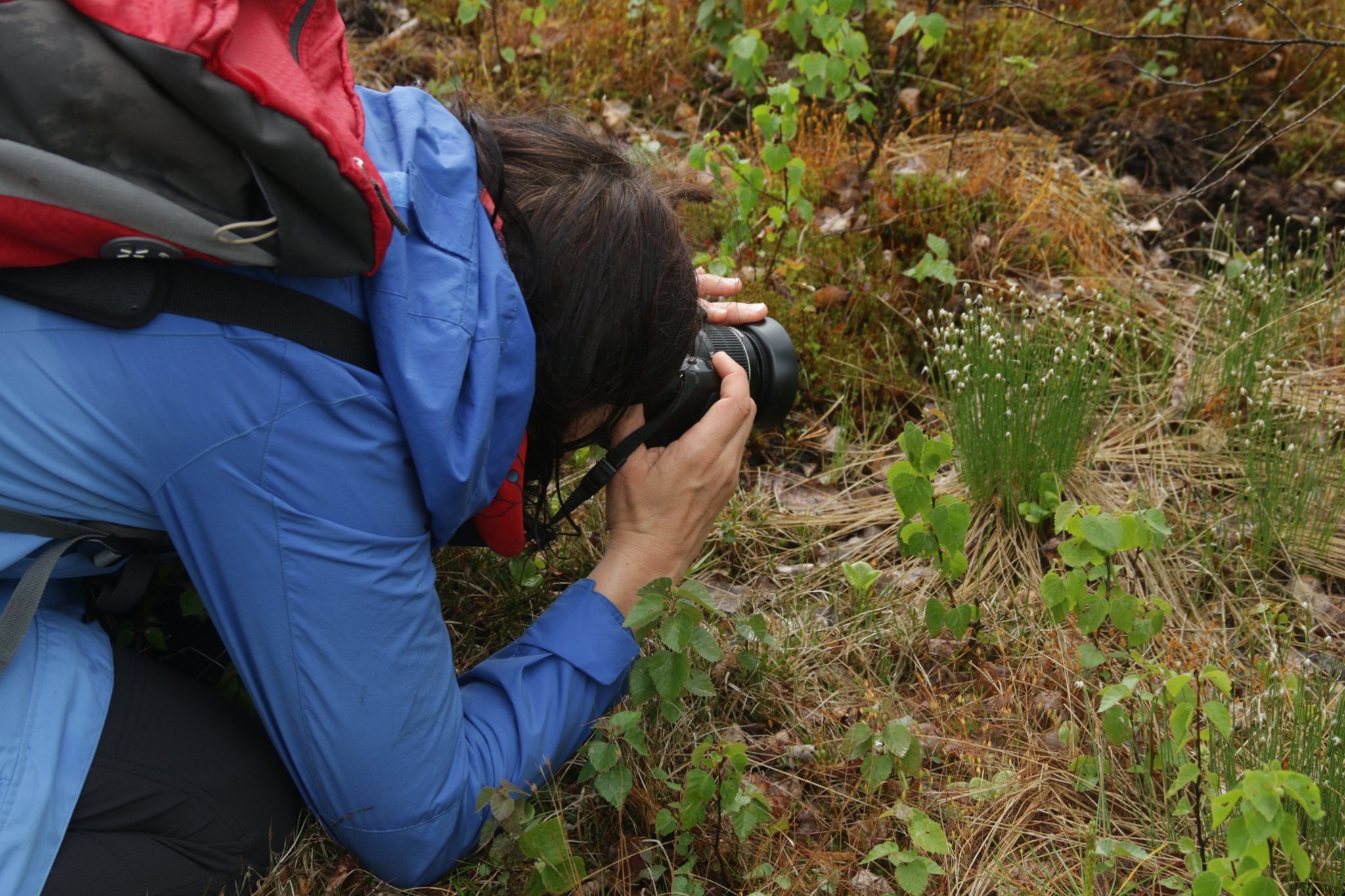 Loodusvaatlus Võrumaal, Foto: Tiina Ploom