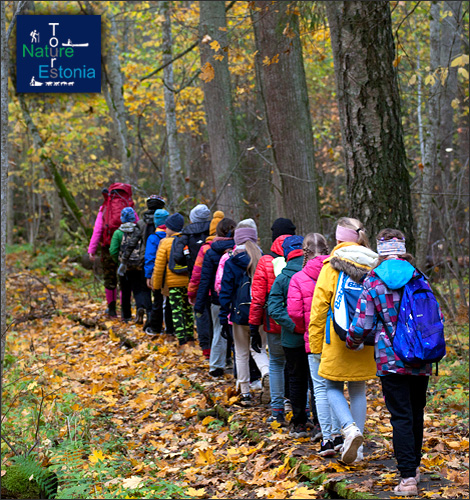 Retk Järvselja ürgmetsas