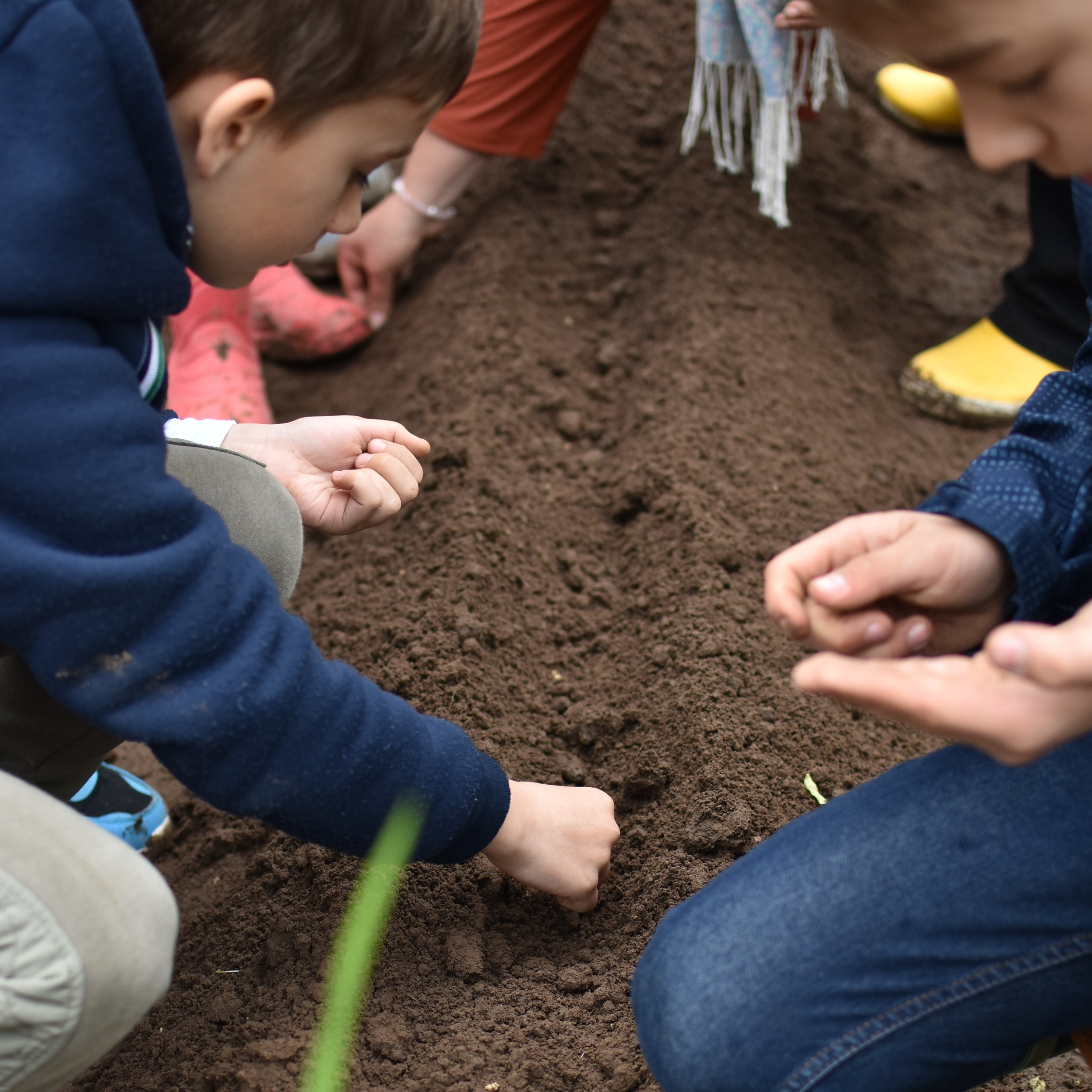 kasvades oma toiduga