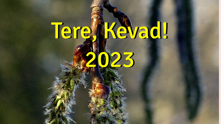 Tere, kevad! 2023