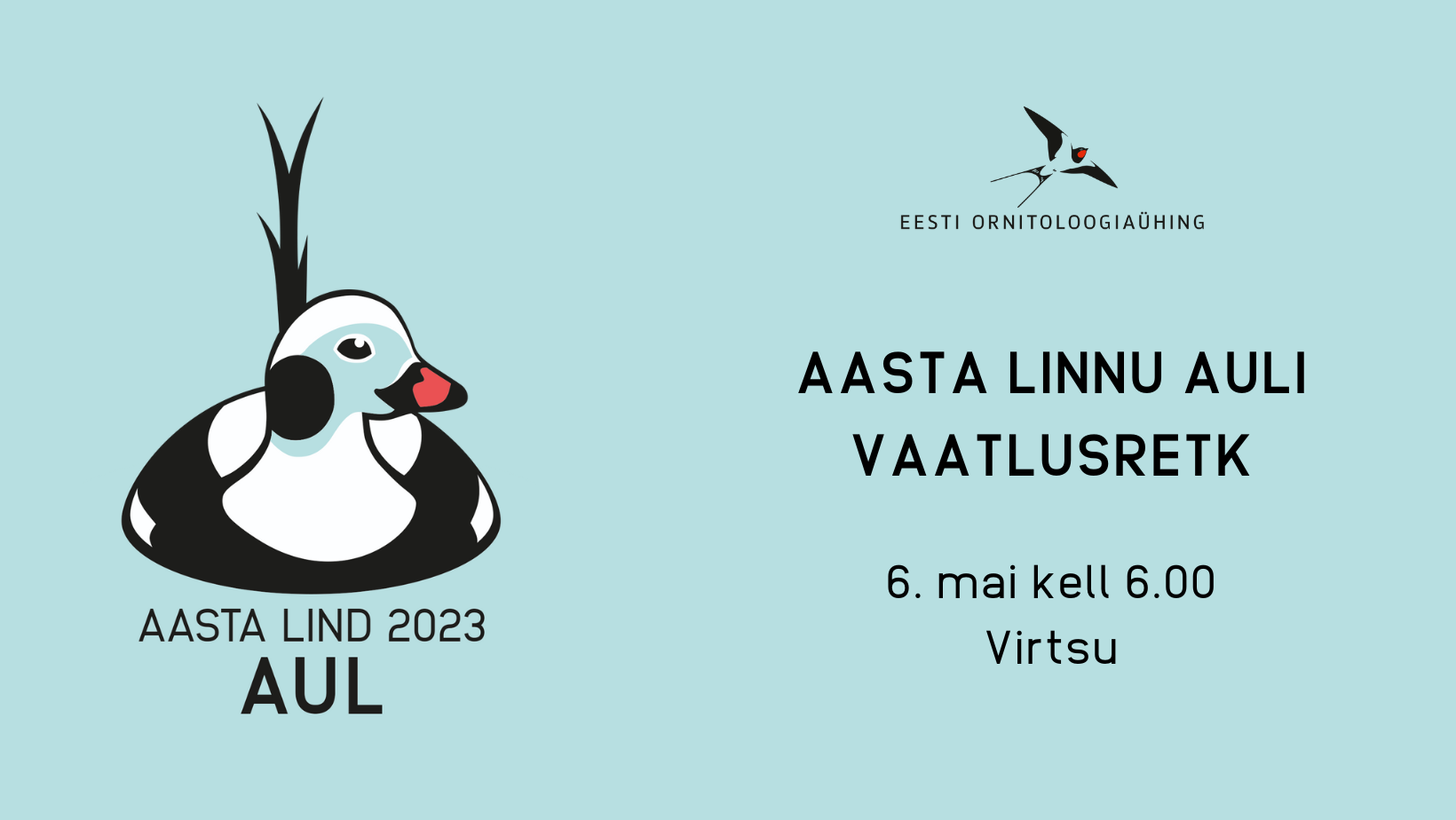 Sinisel taustal on vasakul joonistatud isane aul otsevaates ja paremal pool tekstid