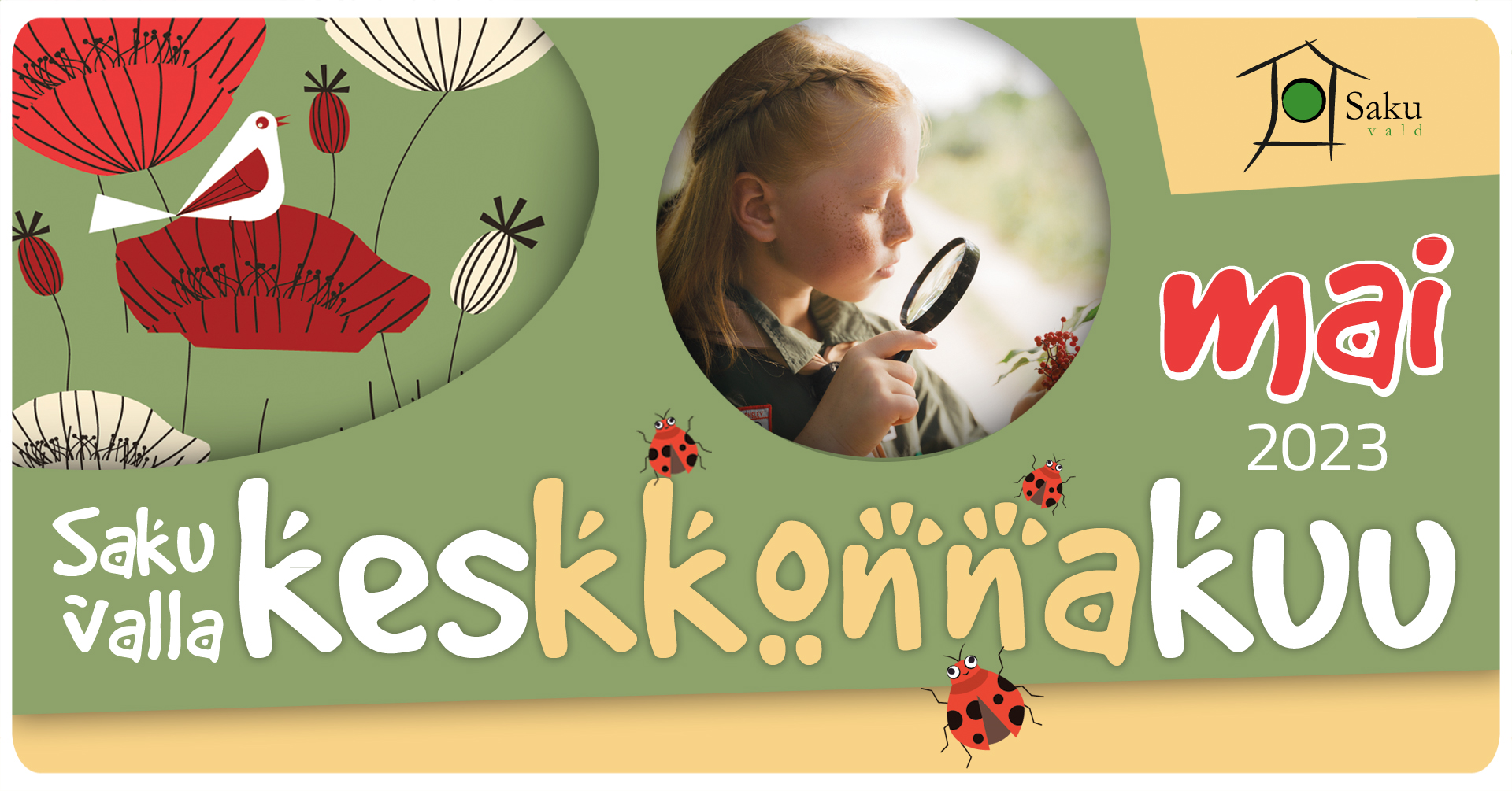 Foto värvilisel taustal