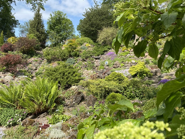 Tartu Ülikooli botaanikaaia alpinaarium. Foto autor Silvia Luik