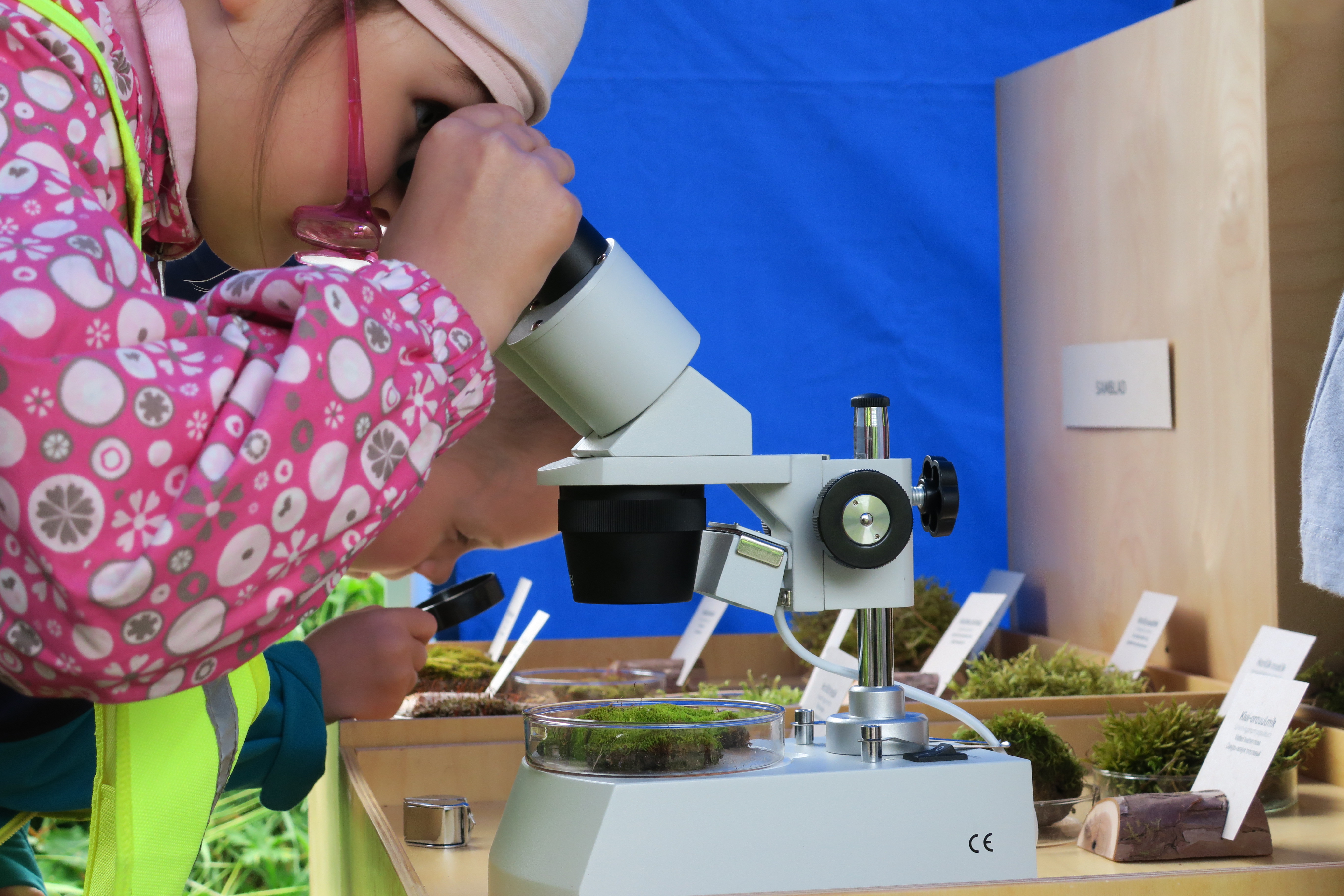 Laps uurimas mikroskoobiga 