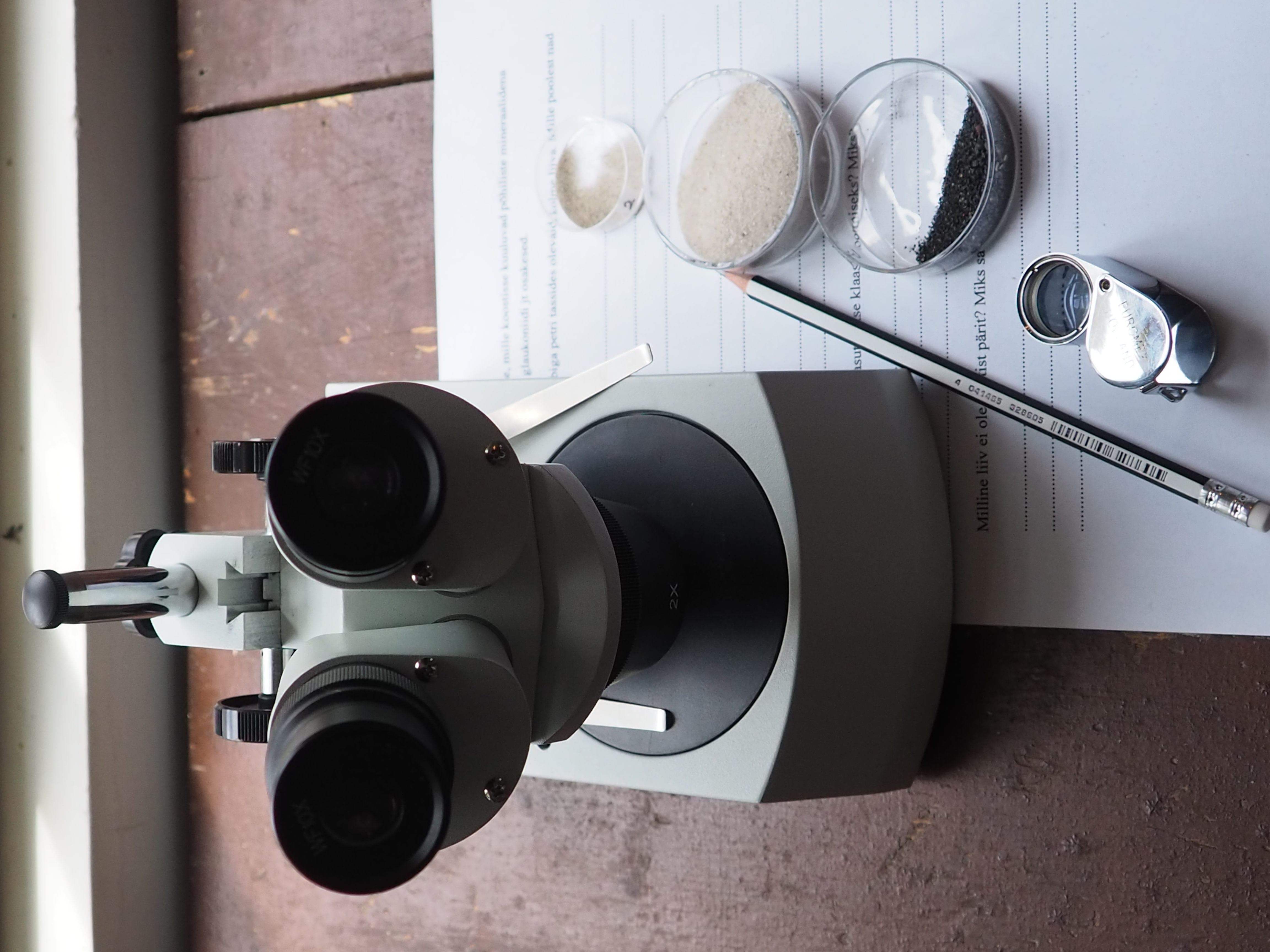 Töötuba luubi ja mikroskoobiga