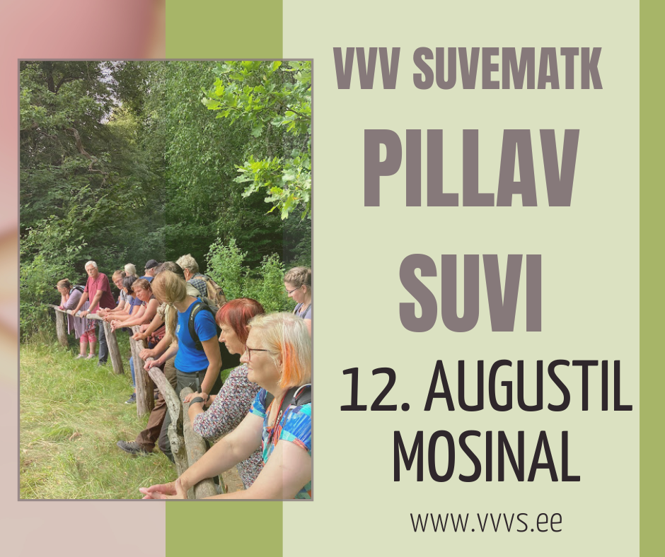 VVV matk Pillav suvi