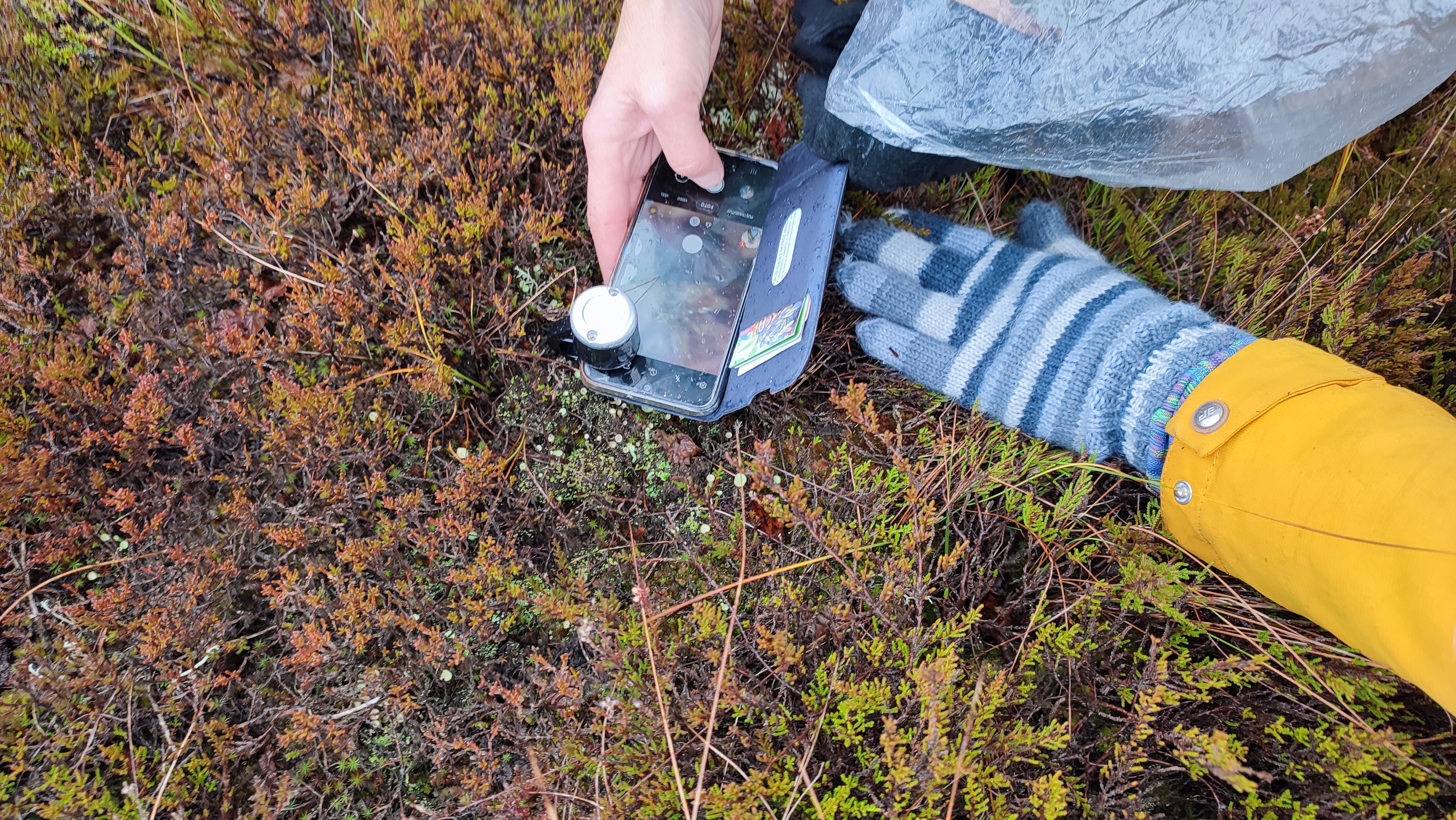 Loodust uurimas nutiseadmega