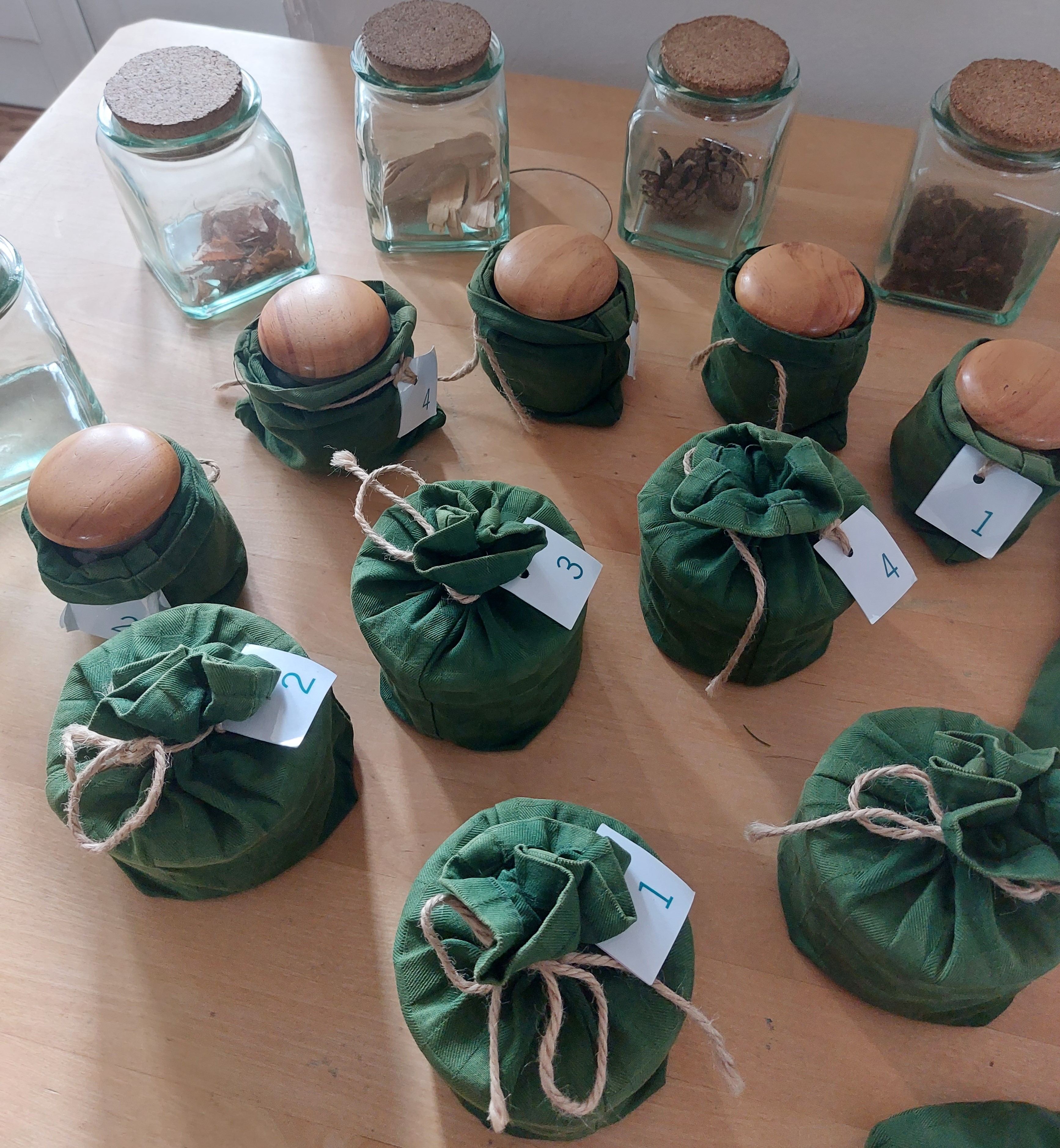 Mets meie meelte läbi - Sagadi looduskooli programm 