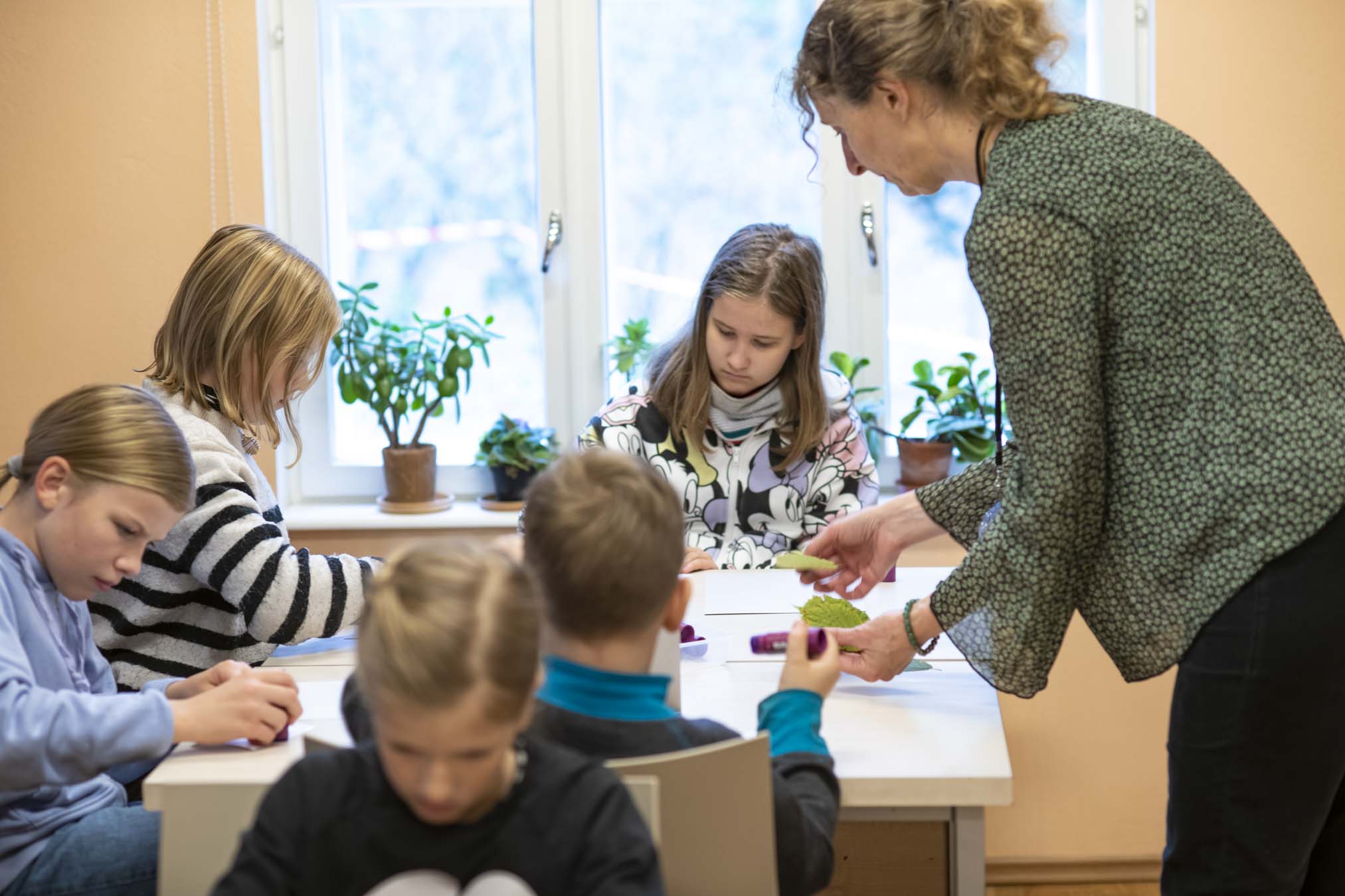 taimepäevad Tallinna Botaanikaaias