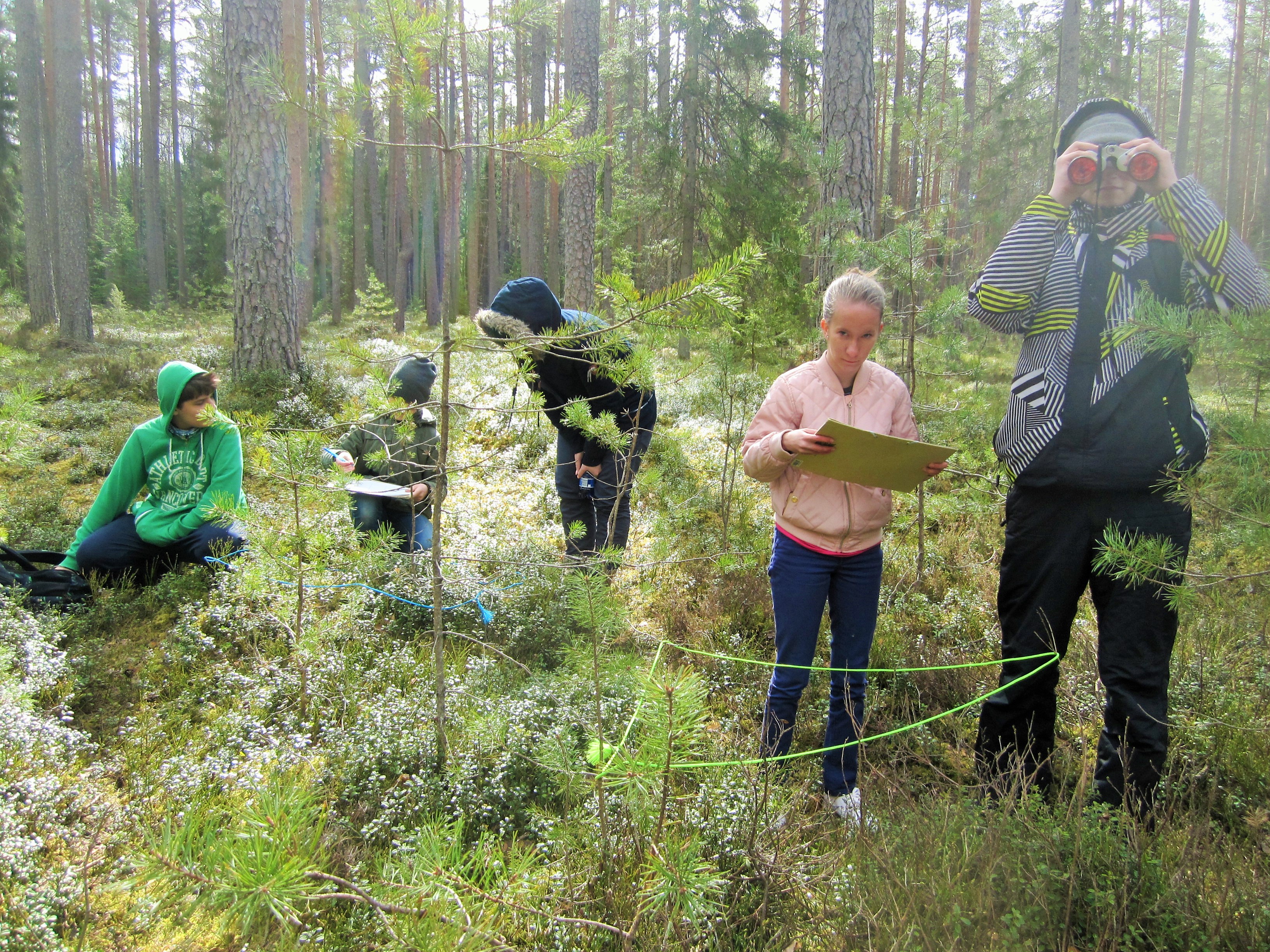 keskkonnauuringud