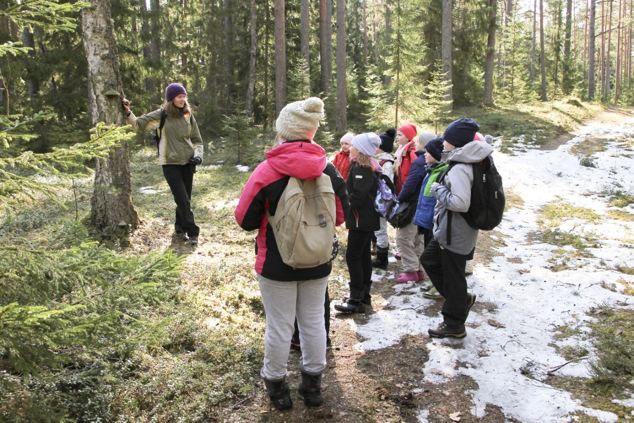 Mets kui kooslus- Sagadi looduskooli programm 