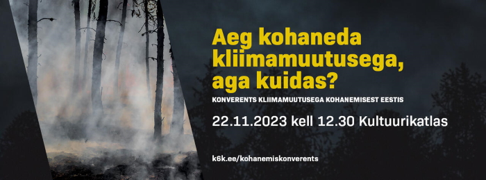 Põlenud musta ja suitseva metsaalusega foto