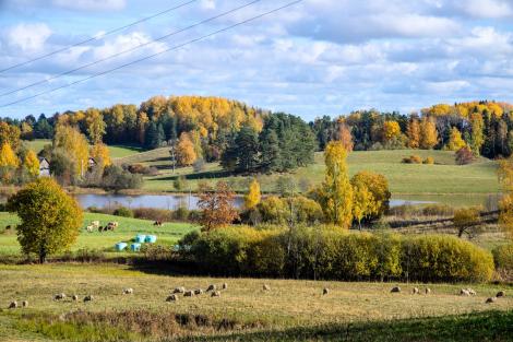 Maastik Mähkli külas. Foto autor: Fred-Erik Kerner