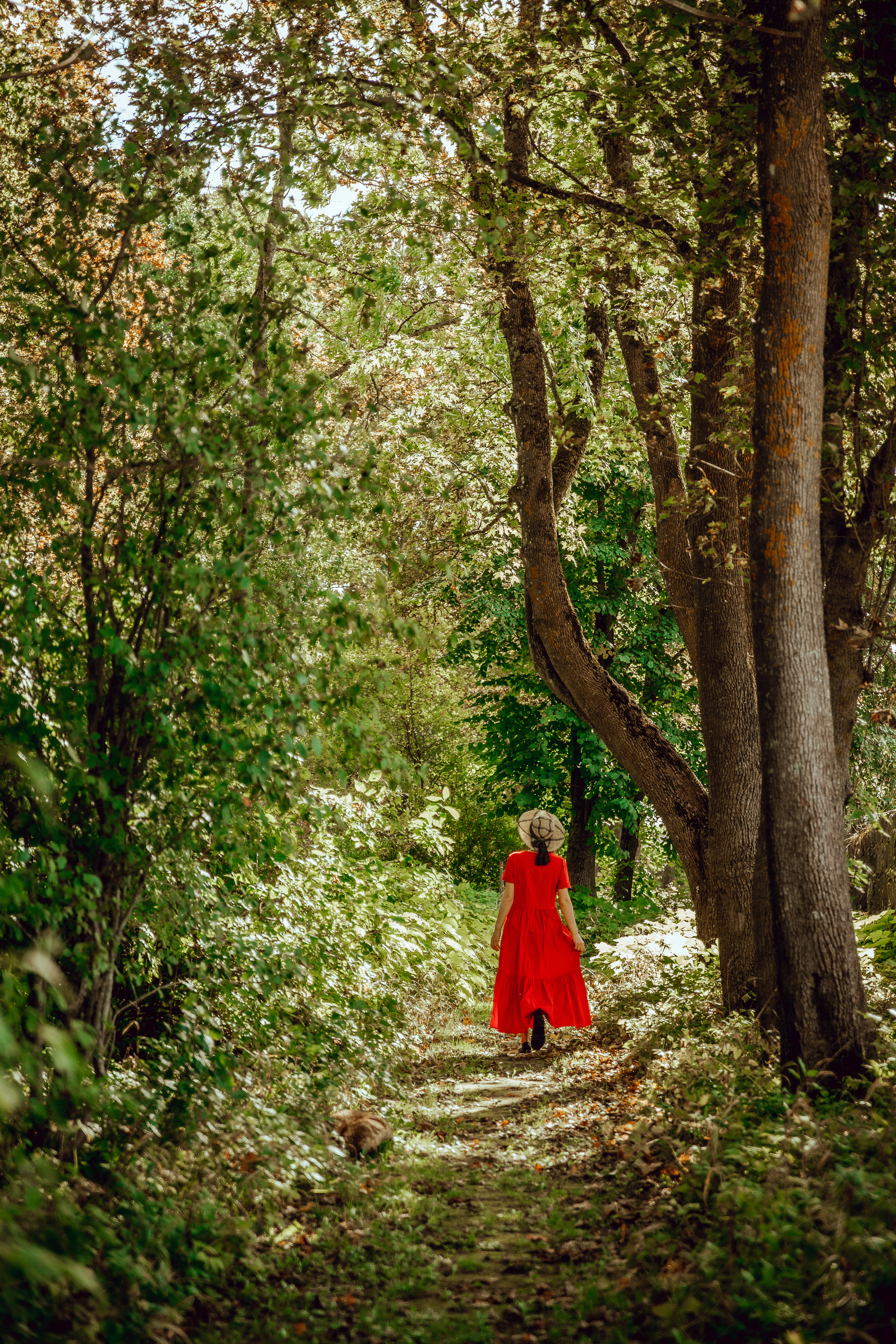 Anija mõisapargi õpperaja retk „Saladuste rada“