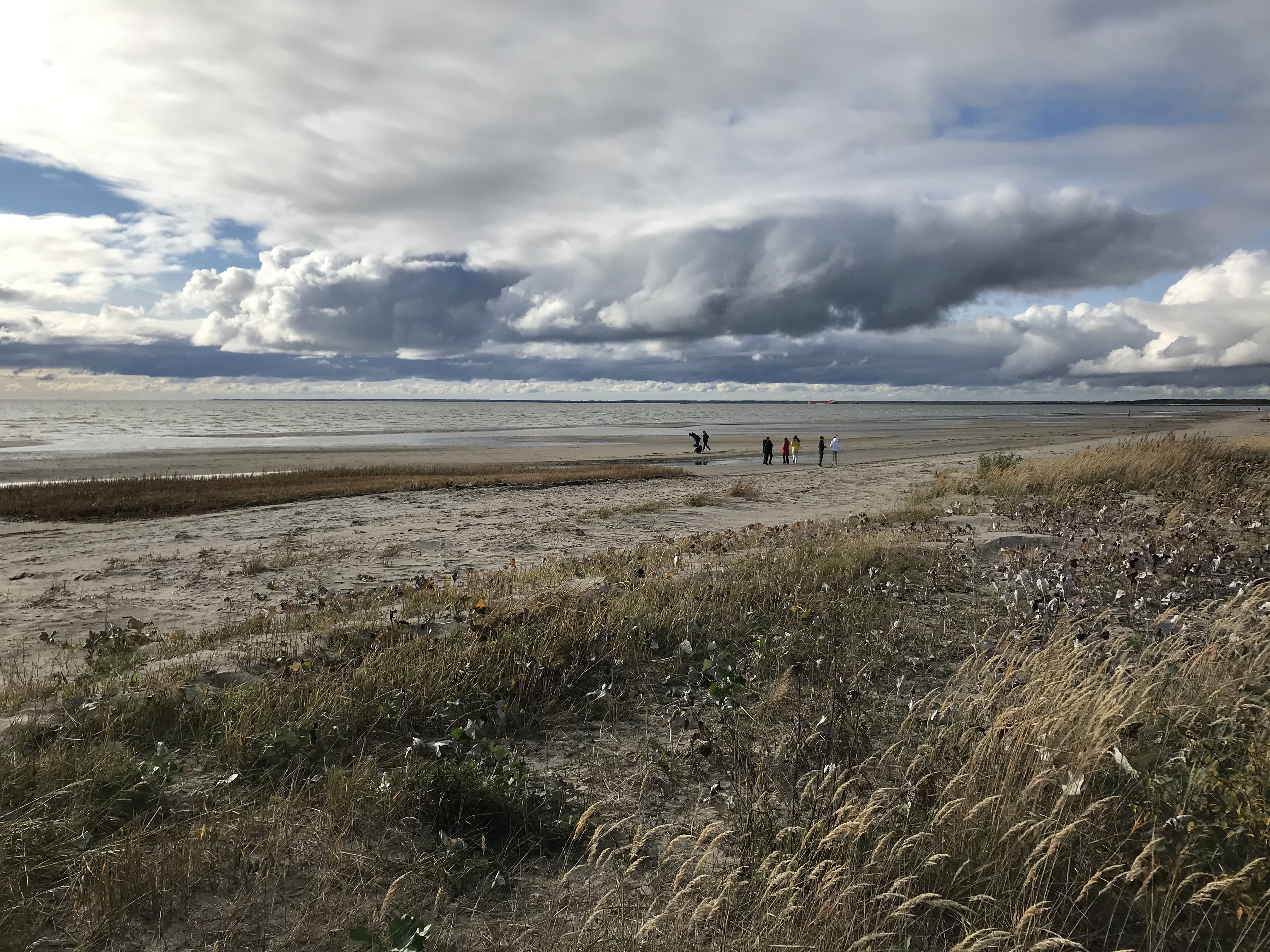 Õpilased sügisese mere ääres