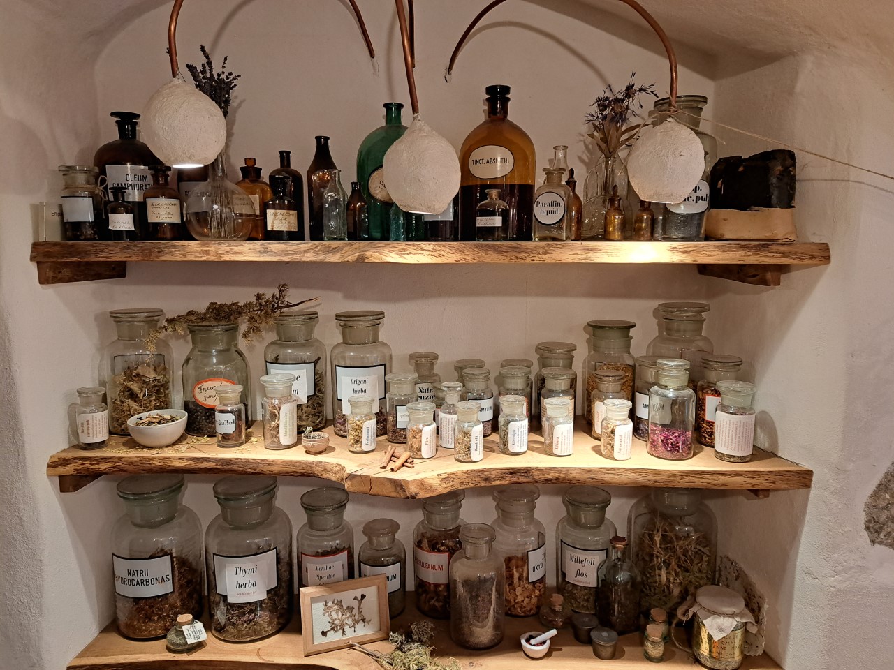 Näitusel „Ladina köök“