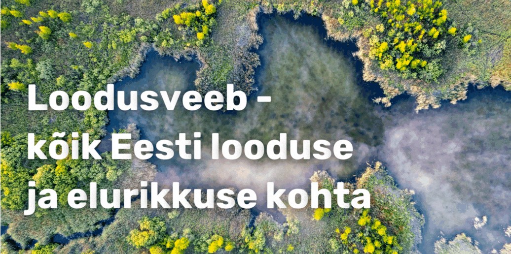 Loodusveeb