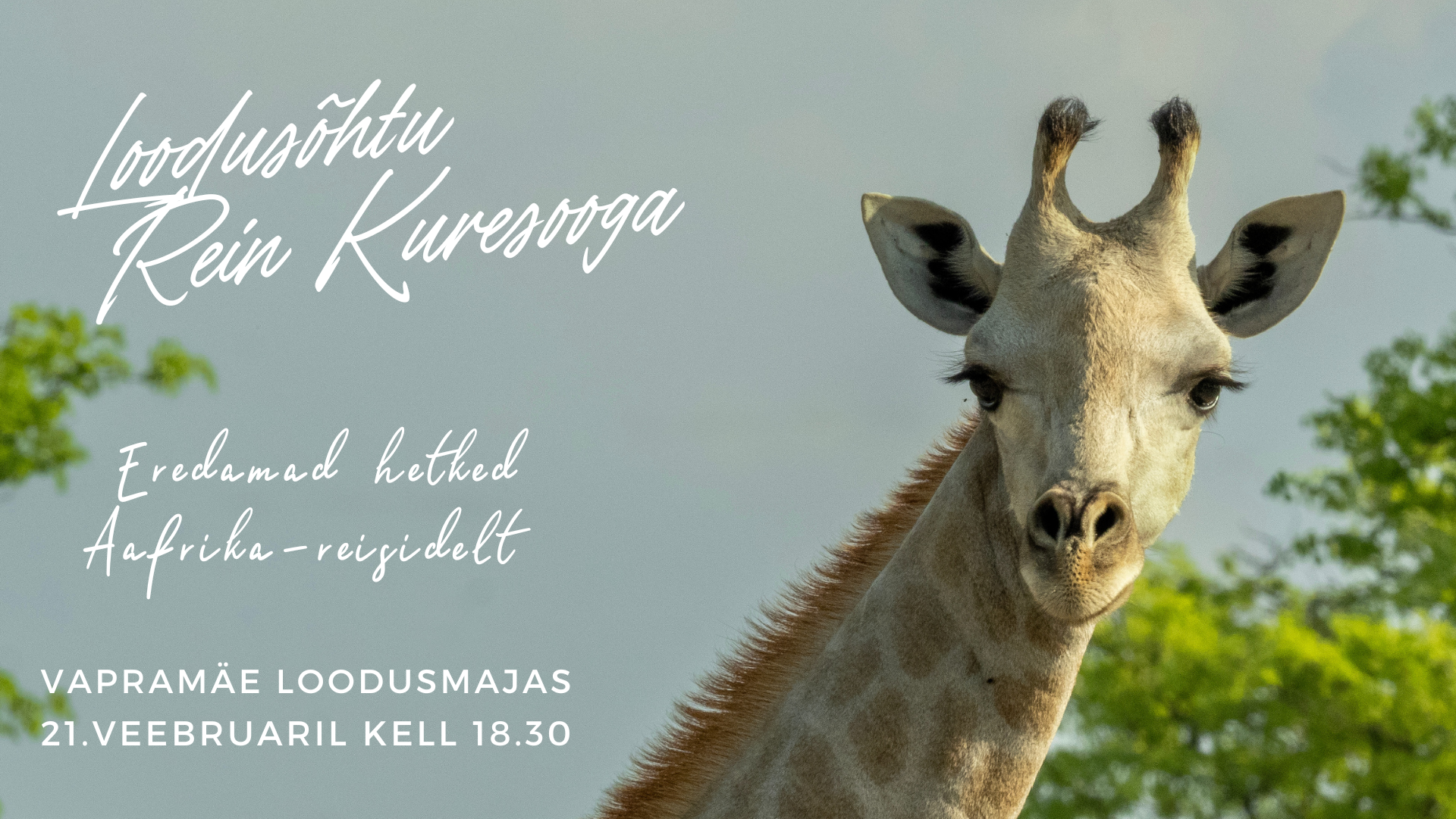 Loodusõhtul jagabki Rein Kuresoo neid hetki meiega nii sõnas kui pildis. Oodatud on kõik looduse- ja loomasõbrad!