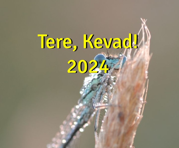 Tere, kevad! 2024