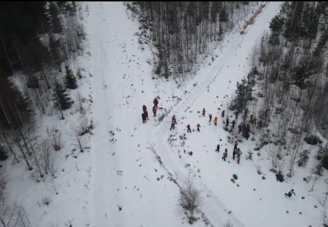 Lapsed lumises metsas