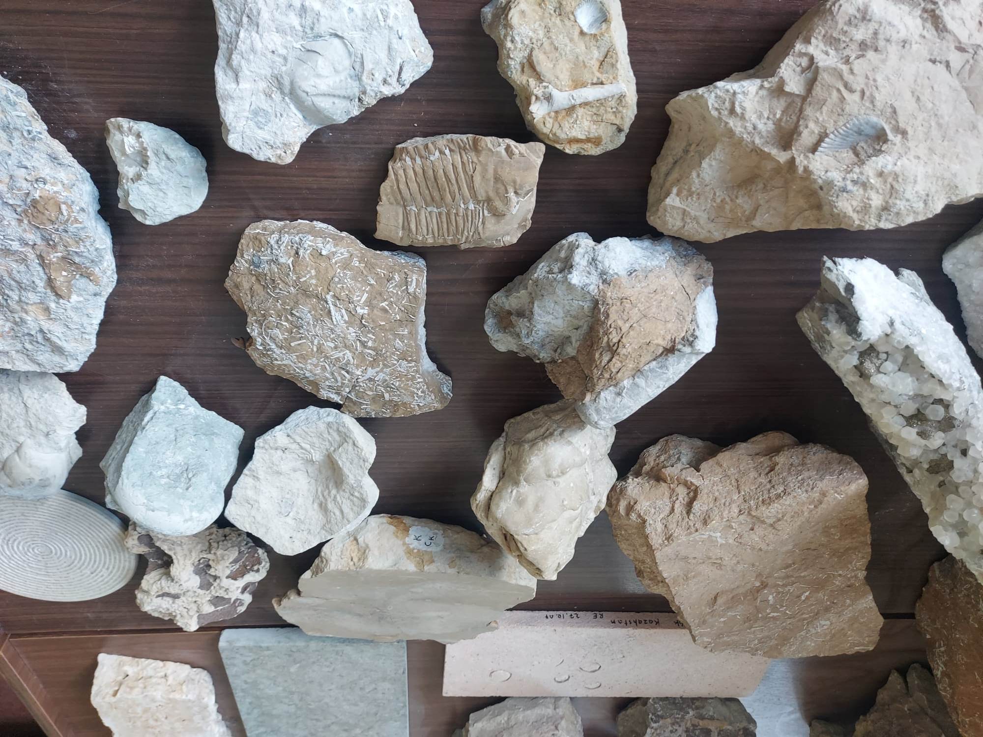 Kivimid ja kivistised kaevandatud  aladel