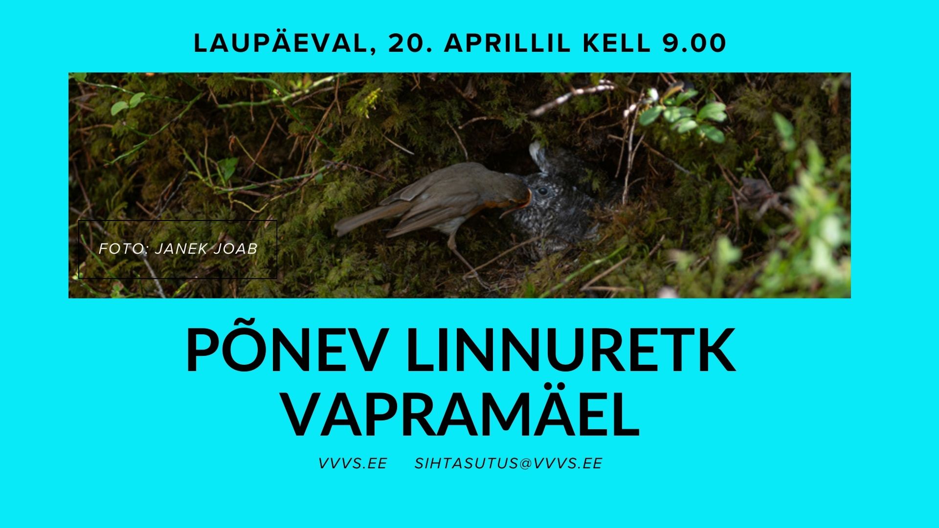 linnumatk Vapramäel