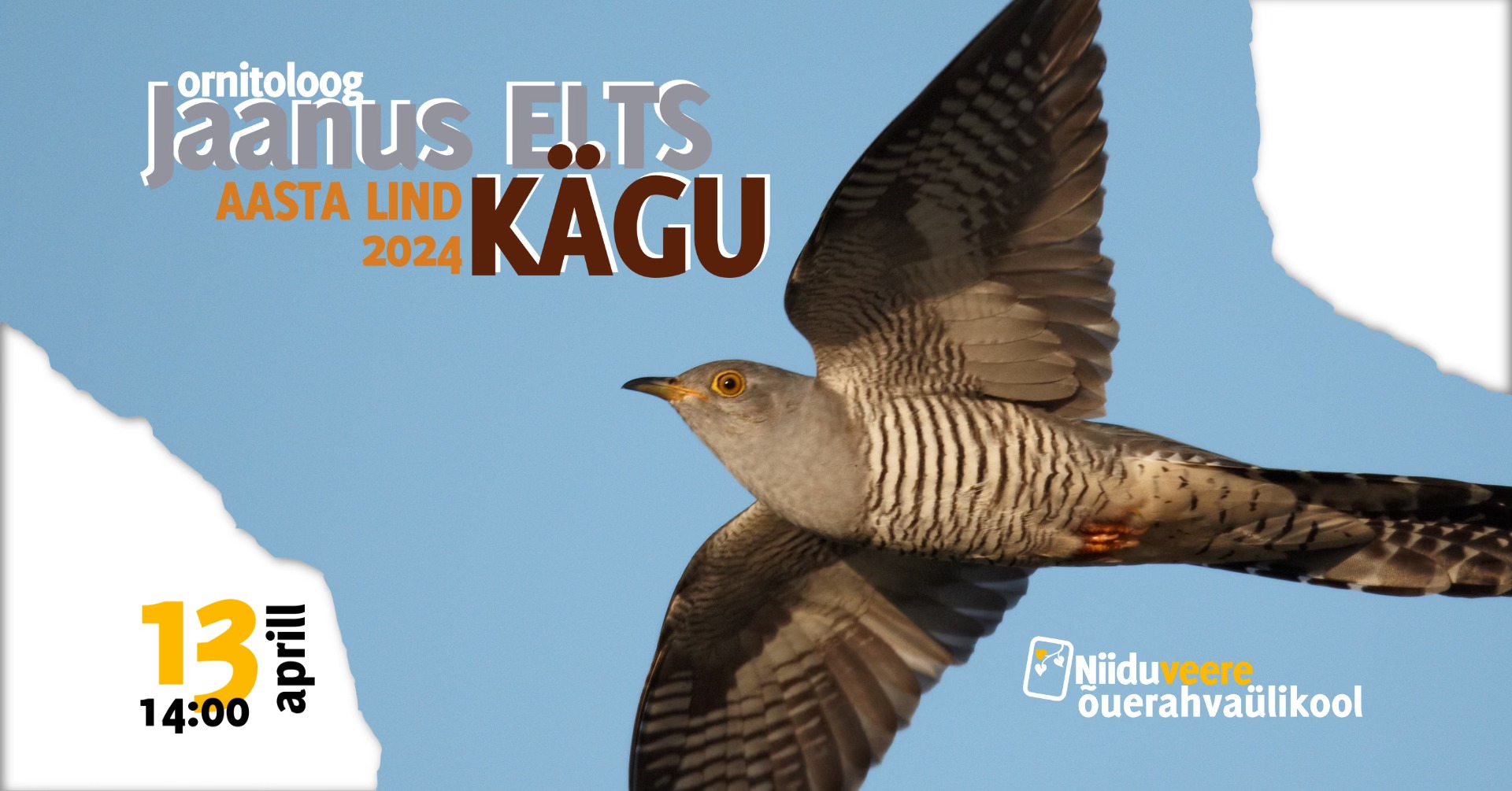 Keskel on foto sinise taeva taustal lendavast käost, fotole on lisatud tekstid