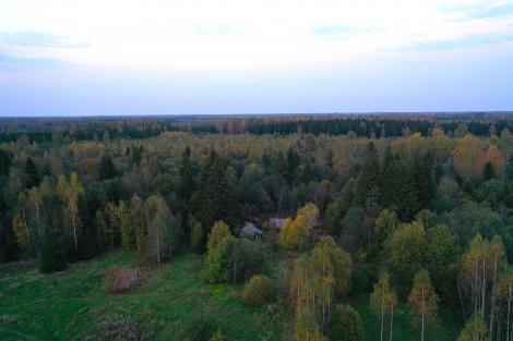 Sitika talumets ja õpiõu