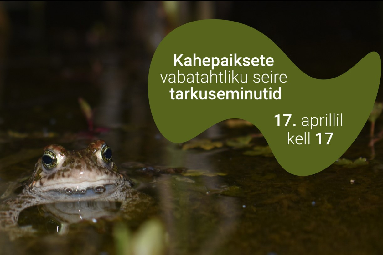 kahepaiksete vabatahtlik seire