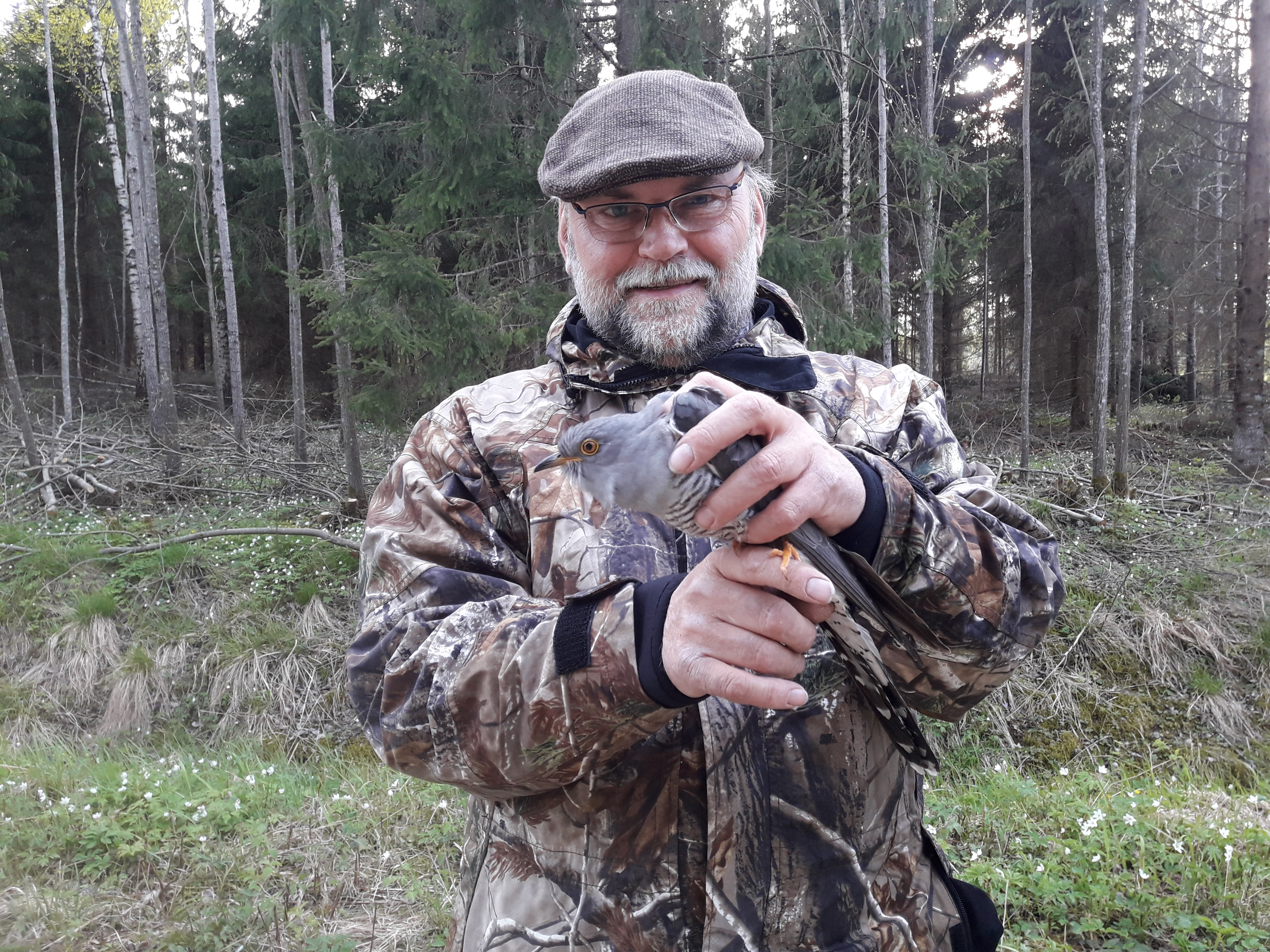 Pruunilaigulises riietuses, halli soni, habeme ja prillidega mees seisab metsa servas ja hoiab kahe käega halli värvi kägu.