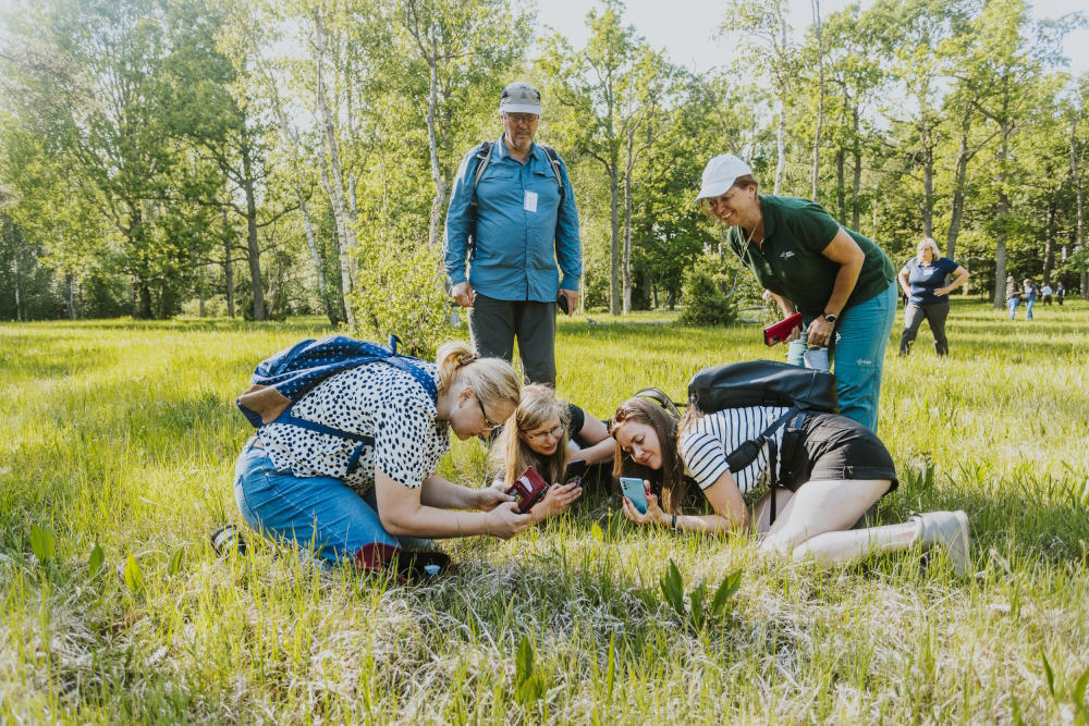 Inimesed suvisel puisniidul